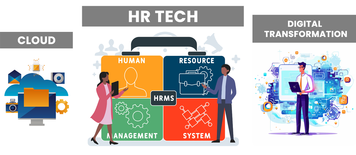 HR solutions customised to your business needs